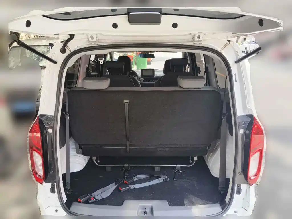 Фото 5 - Wuling Motors Wuling Hongguang New Energy