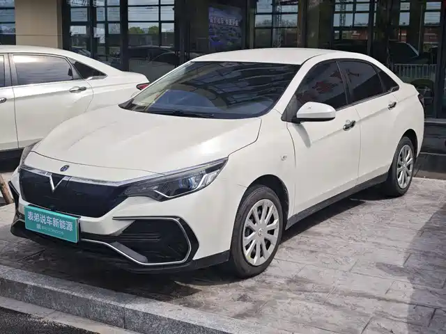  Venucia Venucia D60EV 2022 Standard Range Smart Drive Edition