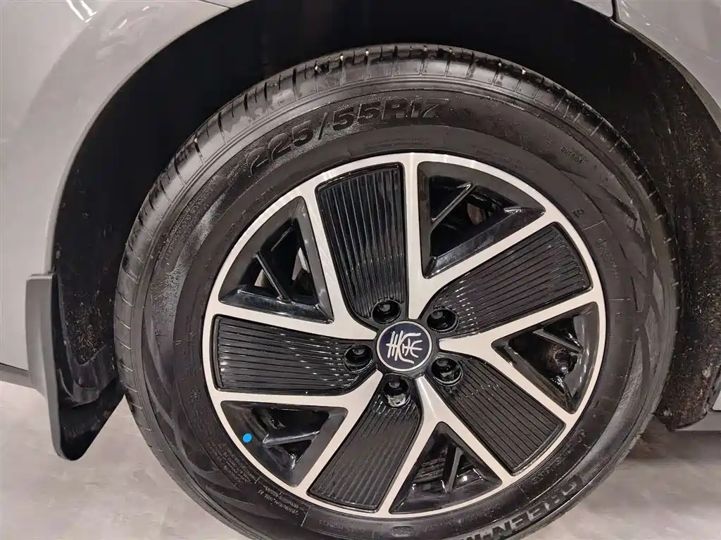 BYD Qin L 2024 DM-i 120KM Superior Edition фото 6