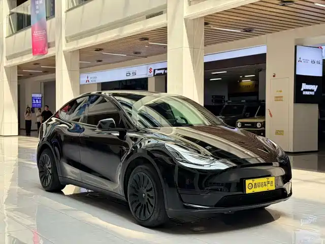 Tesla Model Y 2024 Rear-Wheel Drive Version — фото 3