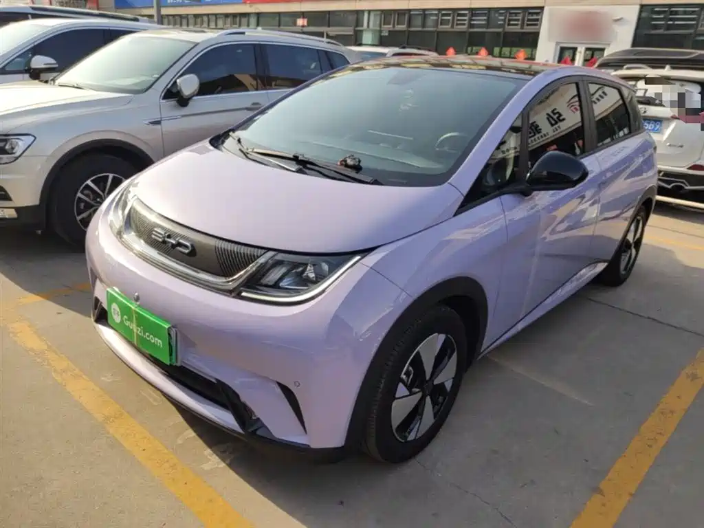 BYD Dolphin 2025 420km Fashion Edition фото 2