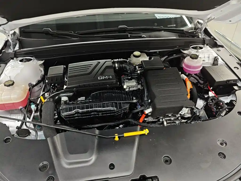 BYD Destroyer 05 2024 Glory Edition DM-i 55KM Luxury фото 20