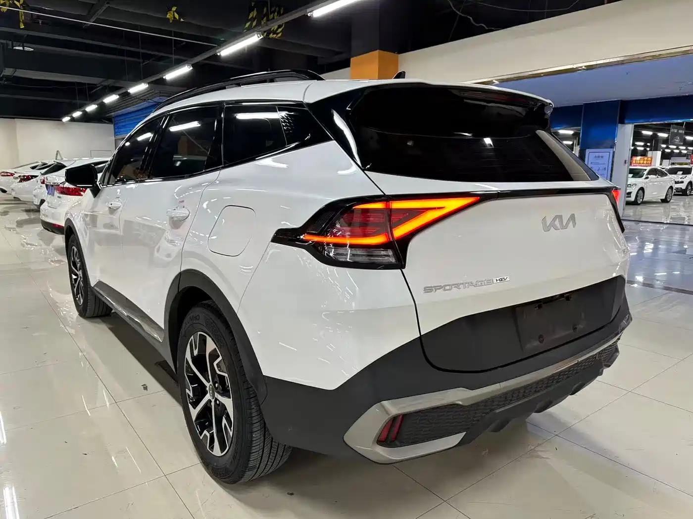 KIA LION PLATINUM EXPANDS THE WORLD