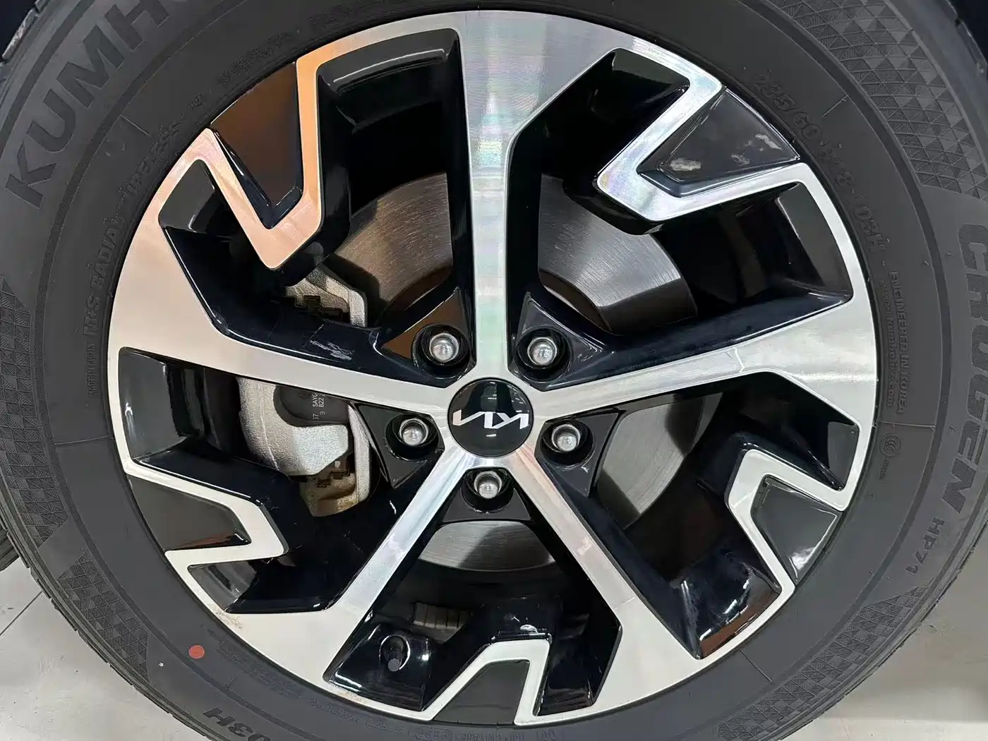 KIA LION PLATINUM EXPANDS THE WORLD