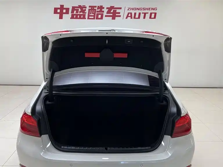BMW 5 Series 2020 530Li xDrive Luxury Package фото 21