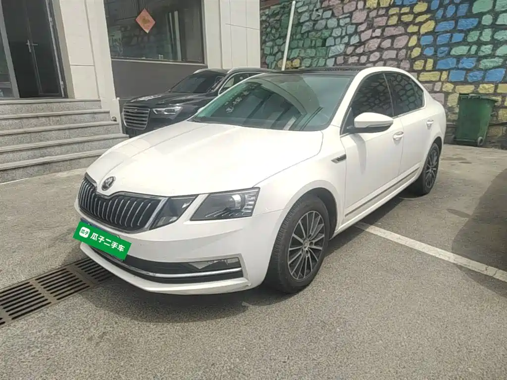 Škoda Octavia 2019 1.5L Automatic Smart Luxury China VI фото 2