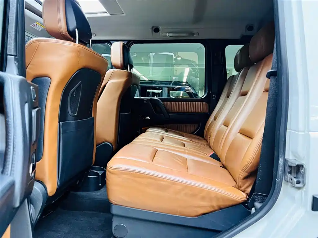 Mercedes-Benz G-Class 2016 G 500 фото 16