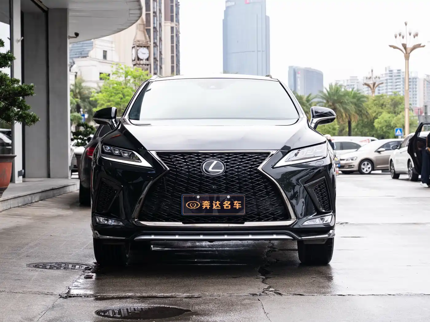 LEXUS RX