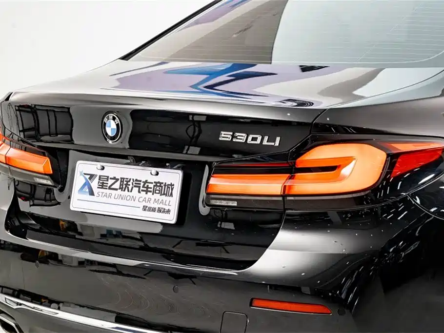 BMW 5 Series 2021 Facelift 530Li Leading Luxury Package фото 8