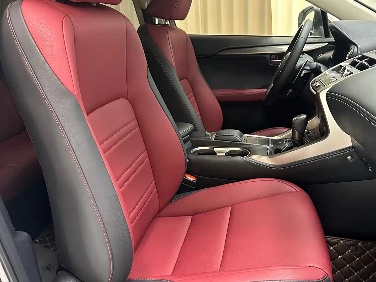 Lexus NX 2020 200 AWD F Sport China V фото 10