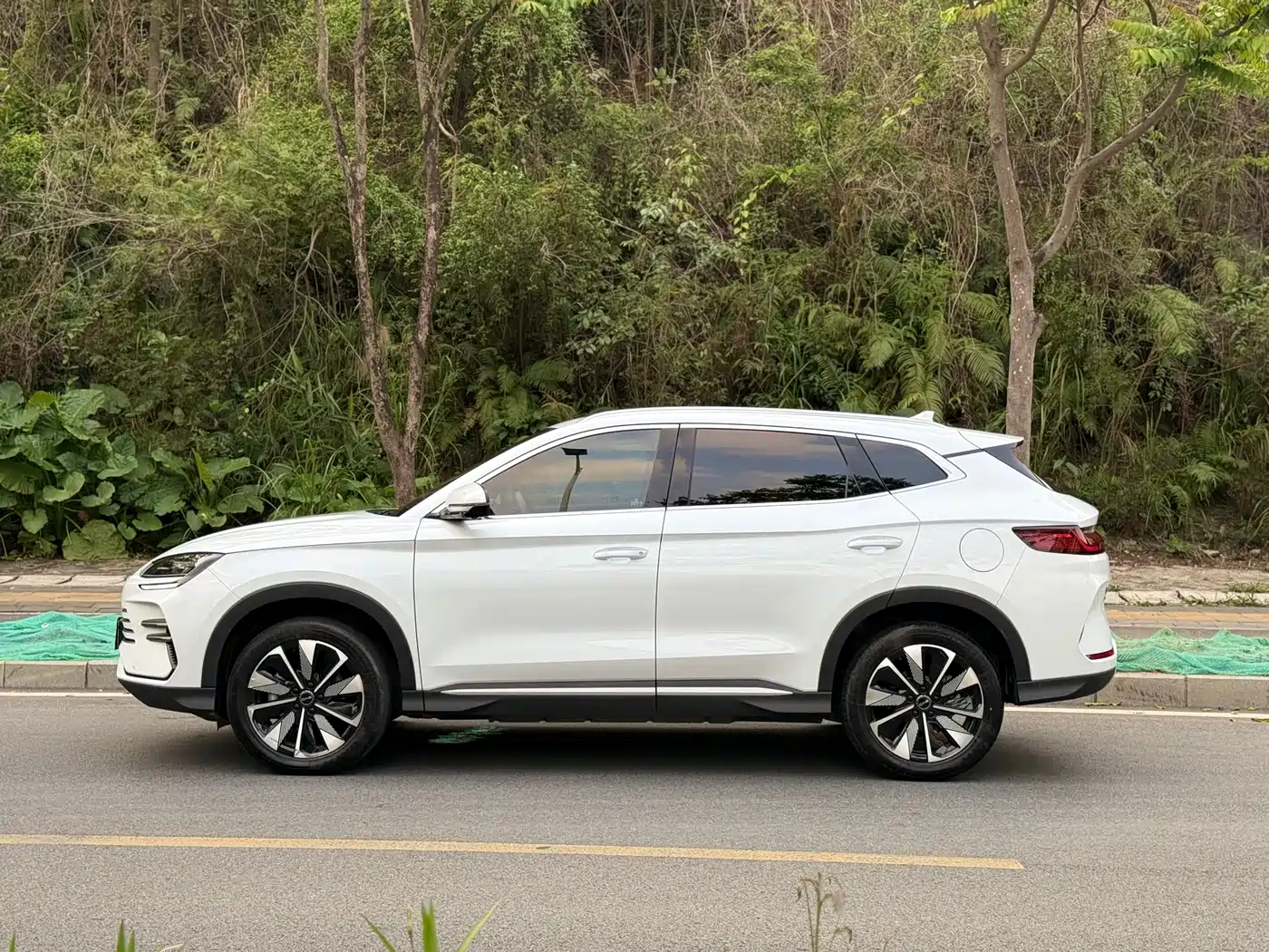 BYD SONGJIANG NEW ENERGY