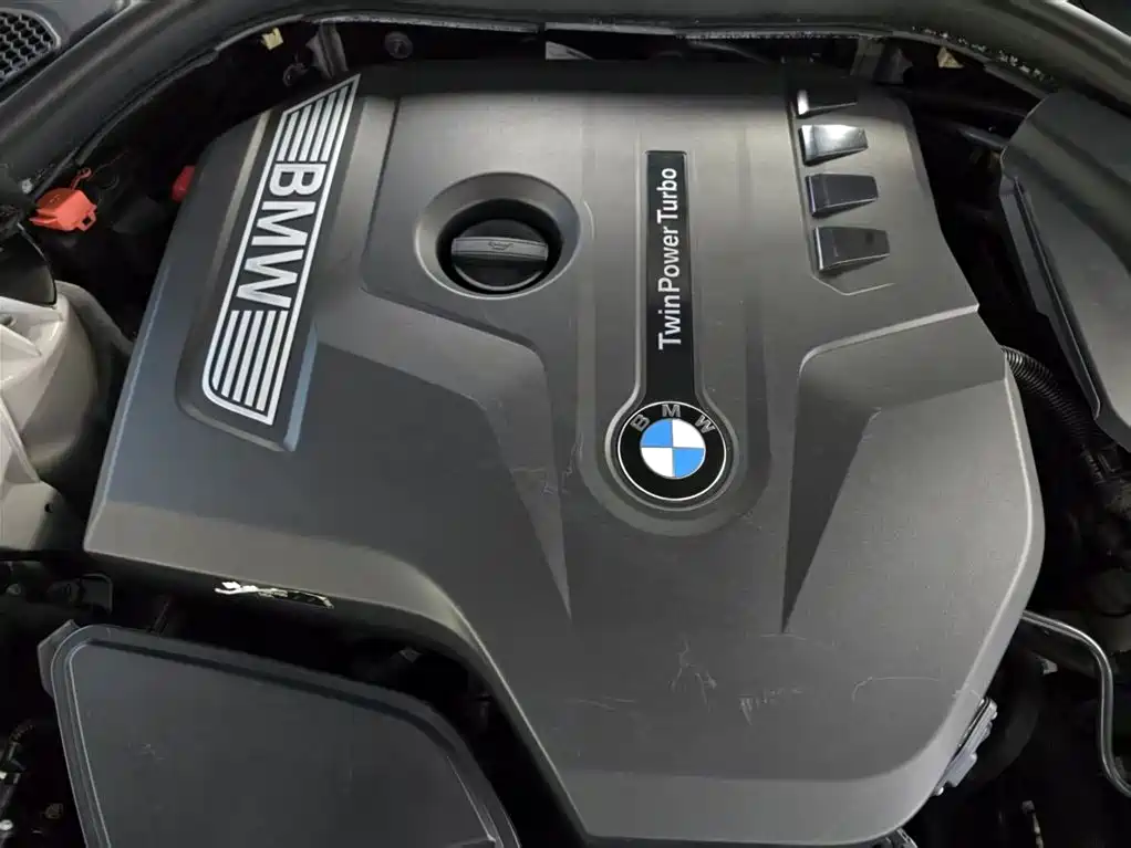 BMW 5 Series 2018 528Li Launch Special Edition фото 16