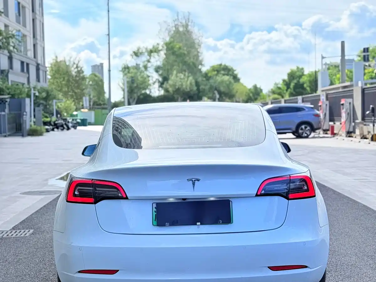 Tesla Model 3 (Import) 2019 2019 Long Range RWD Version