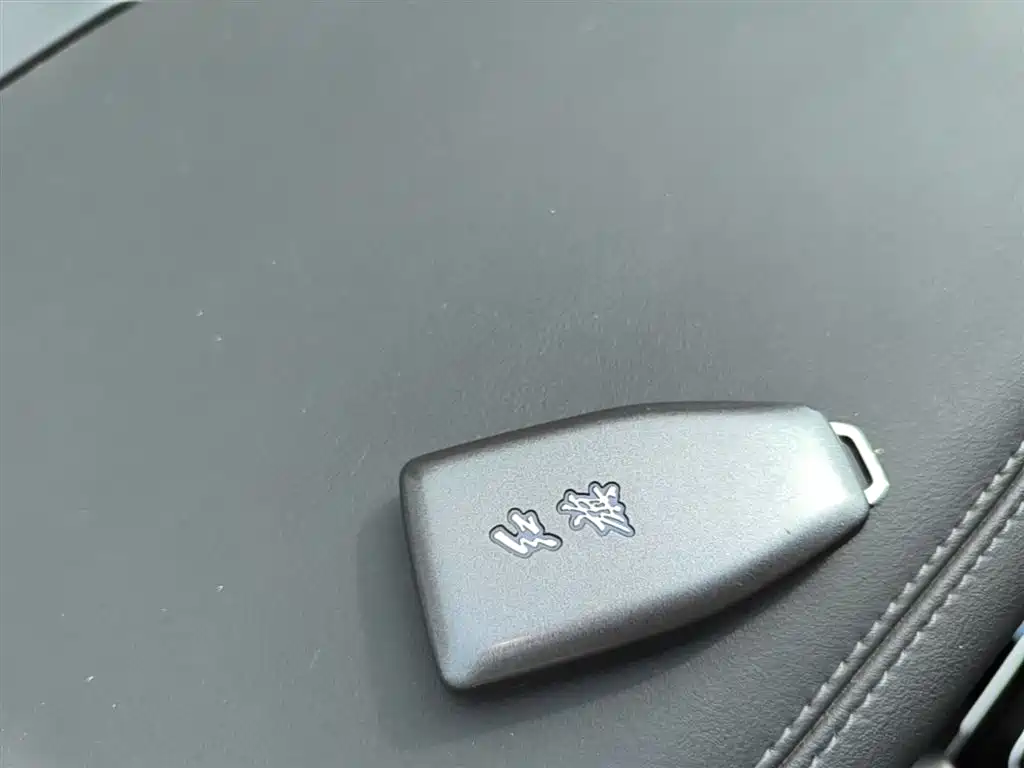 Hongqi HS5 2022 Facelift 2.0T Smart Flag Enjoyment AWD Edition фото 9