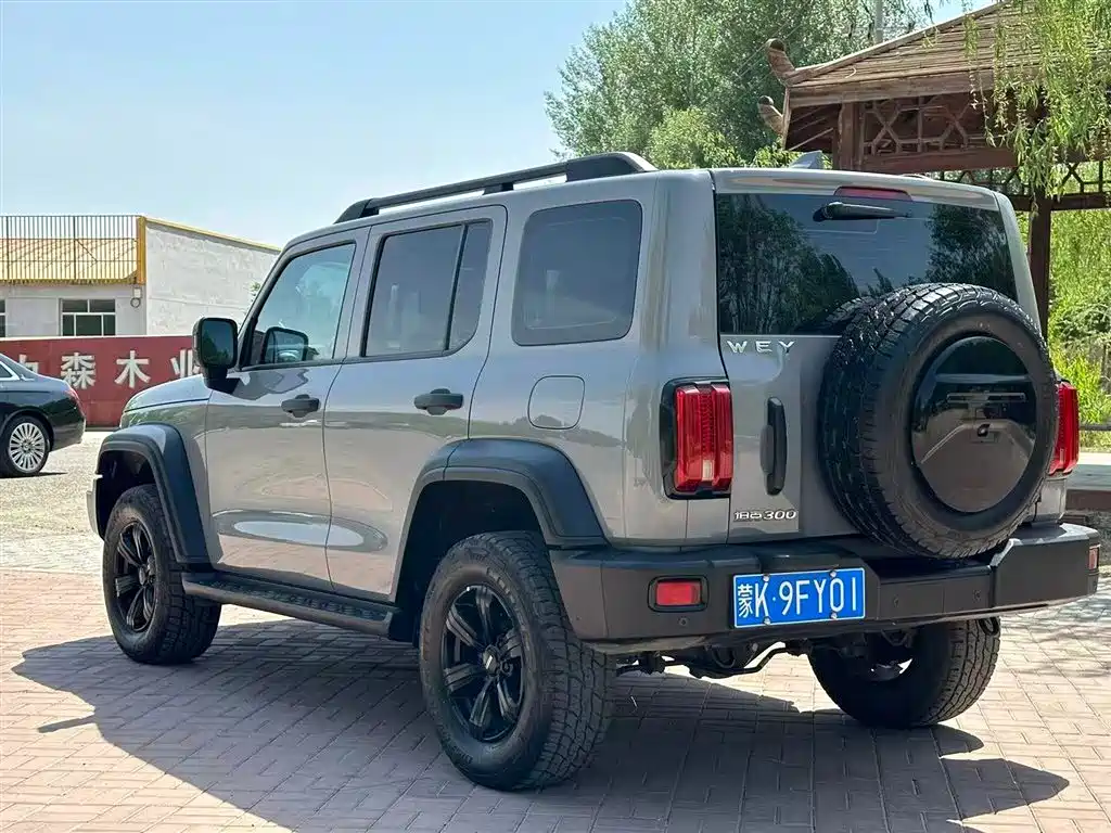 Tank 300 2021 Off-road Version 2.0T Conqueror фото 9