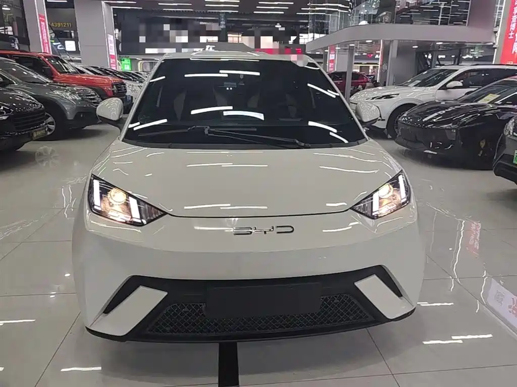 BYD Seagull 2023 Vitality Edition фото 3