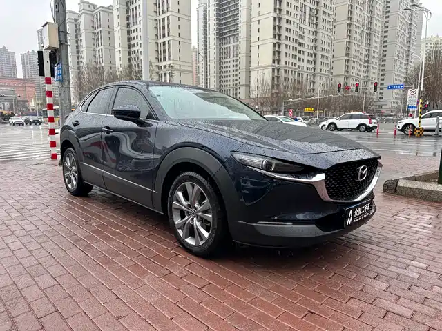 Mazda CX-30 2020 2.0L Automatic Yayue