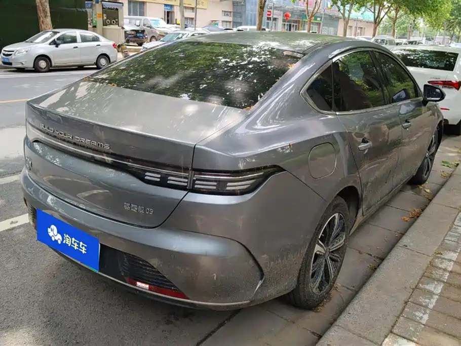BYD Destroyer 05 2023 Champion Edition DM-i 120KM Premium фото 3