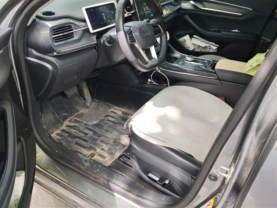 BYD Destroyer 05 2023 Champion Edition DM-i 120KM Premium фото 9