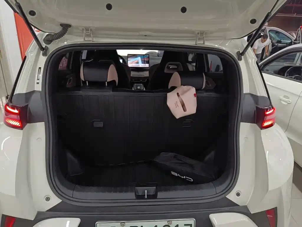 BYD Seagull 2026 2023 Freedom Edition