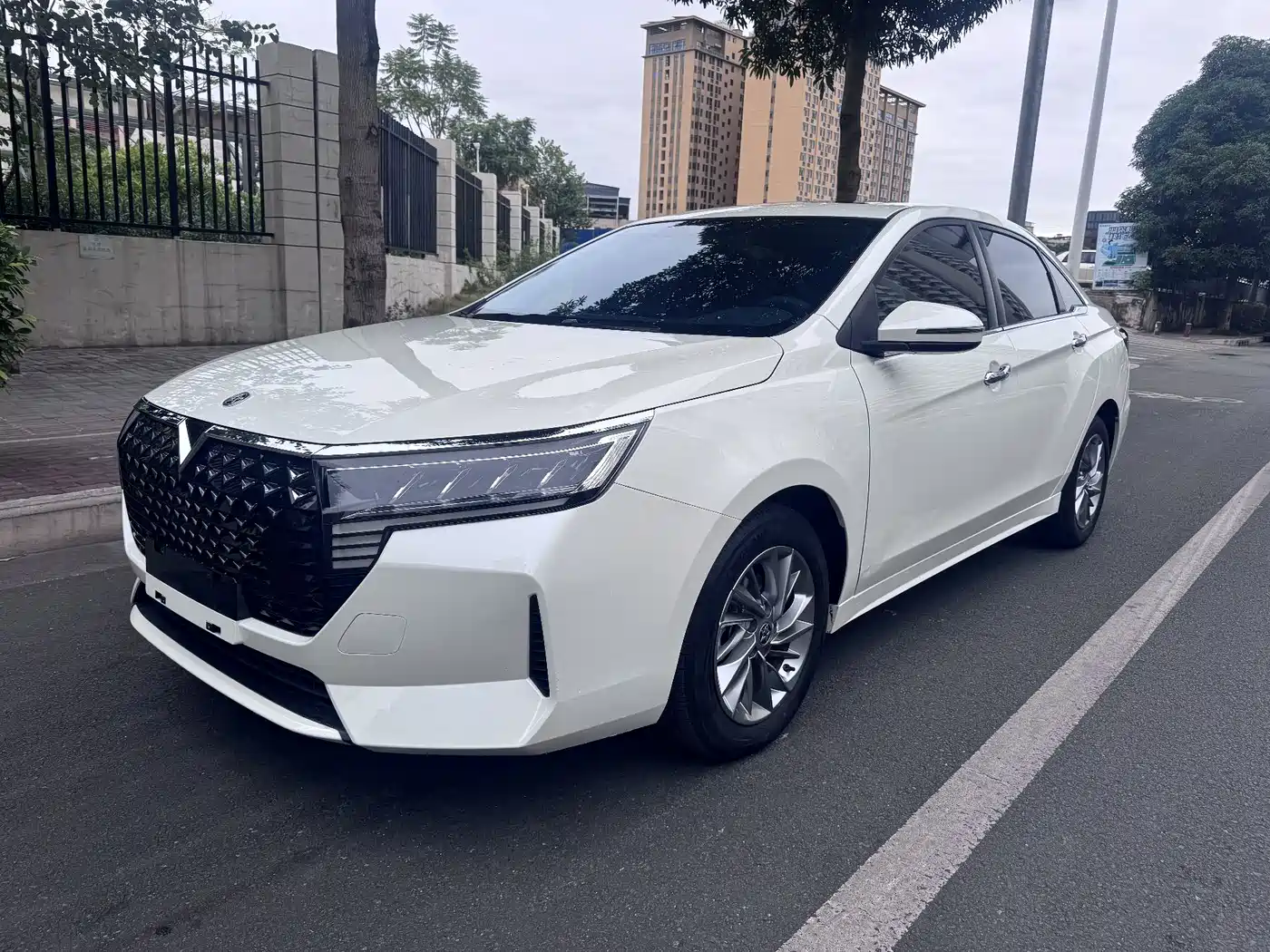 2024 Venucia D60