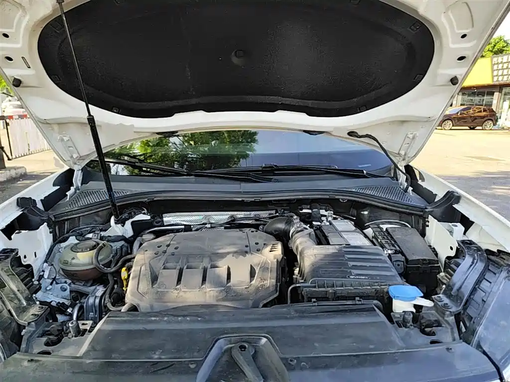 VOLKSWAGEN TANYUE
