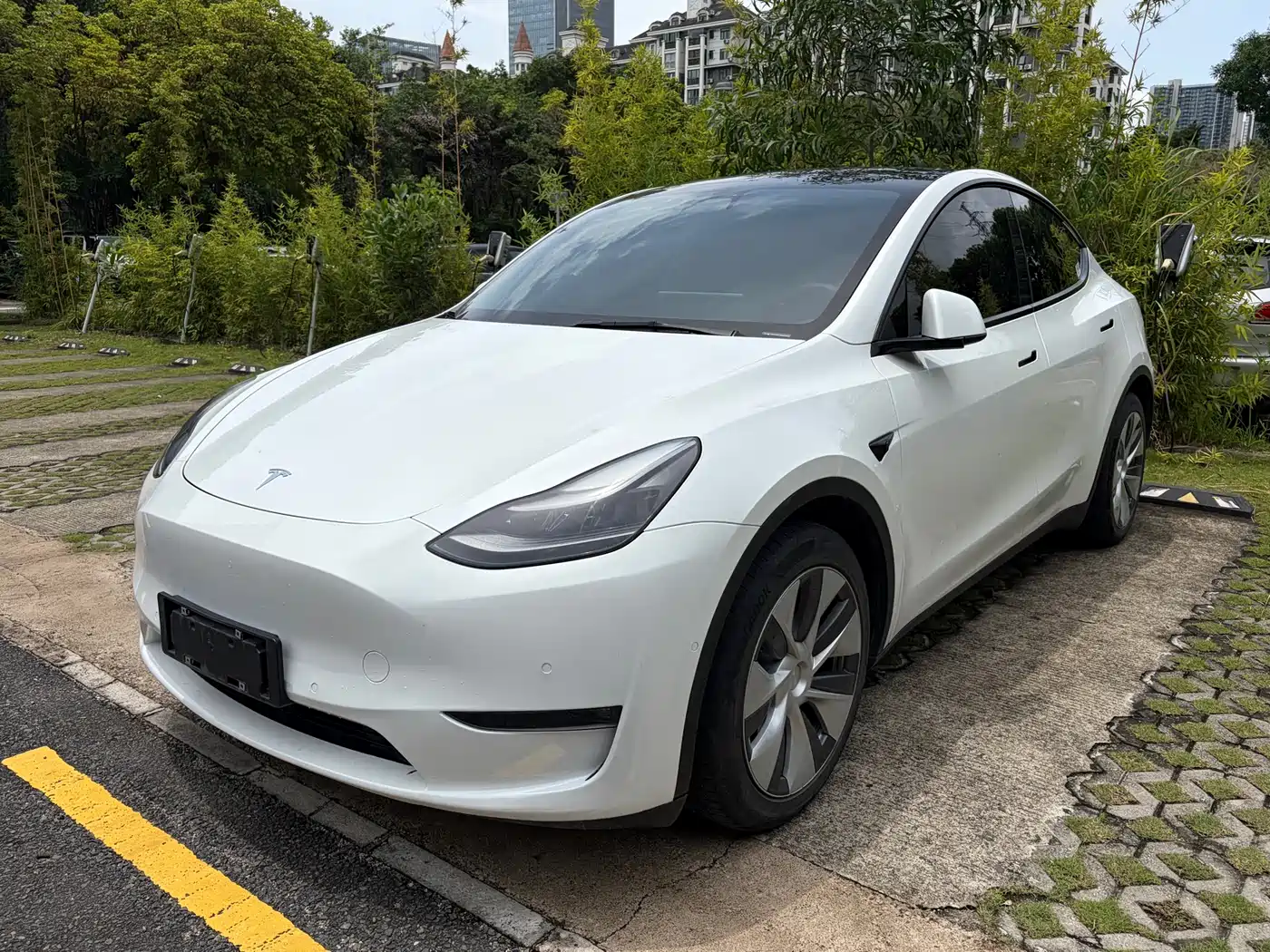  Tesla Model Y 2021 Standard Range Rear-Wheel Drive
