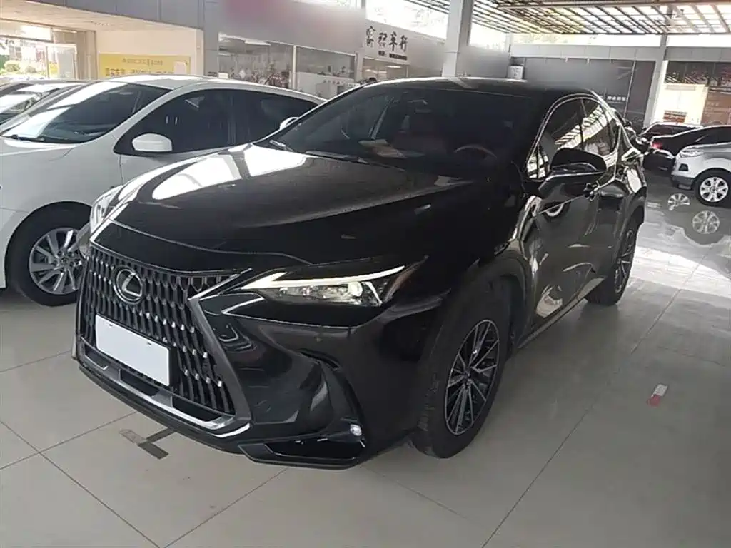Lexus NX 2024 260 FWD Joy Creation Edition