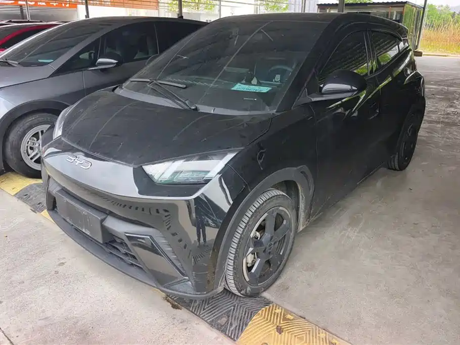 BYD Seagull 2024 Glory Edition 305km Freedom Edition