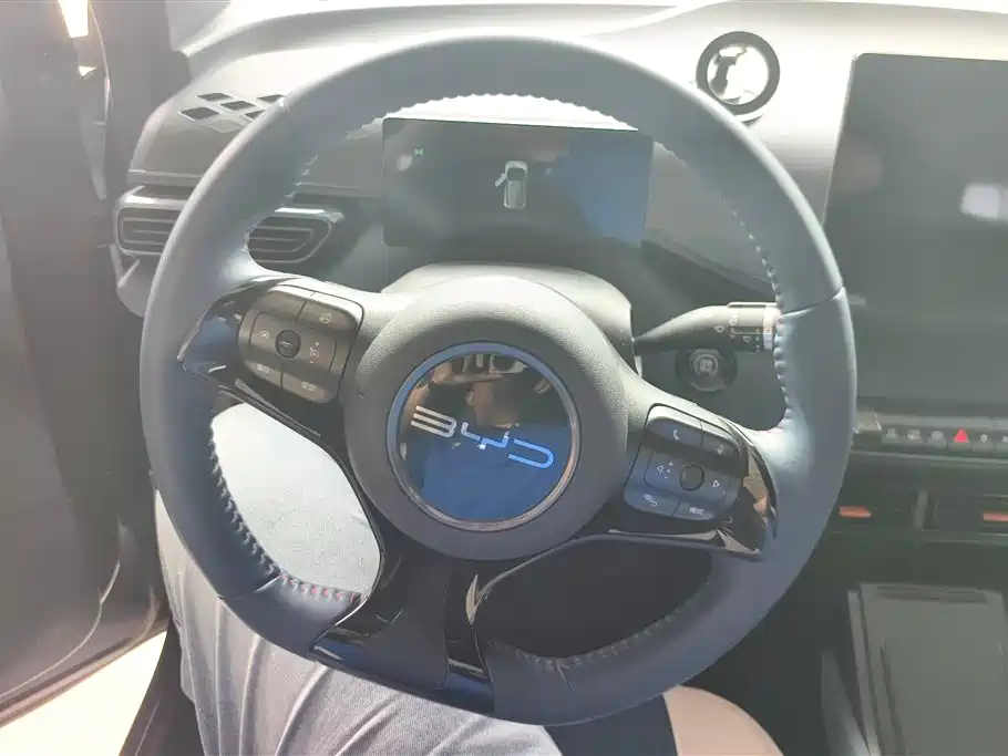 BYD Seagull 2024 Glory Edition 305km Freedom Edition фото 15