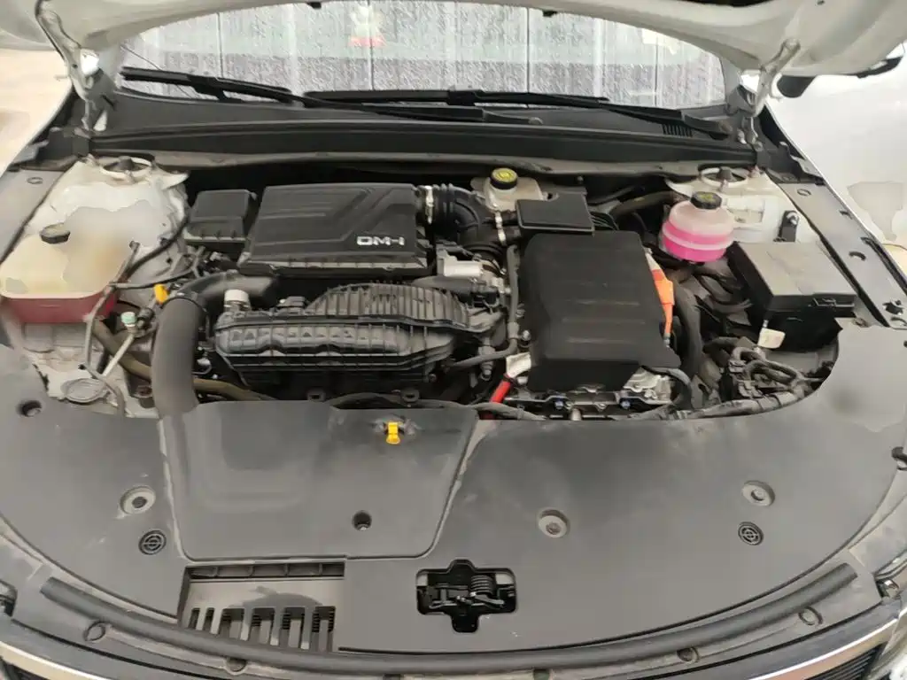BYD Destroyer 05 2023 2022 DM-i 55KM Luxury