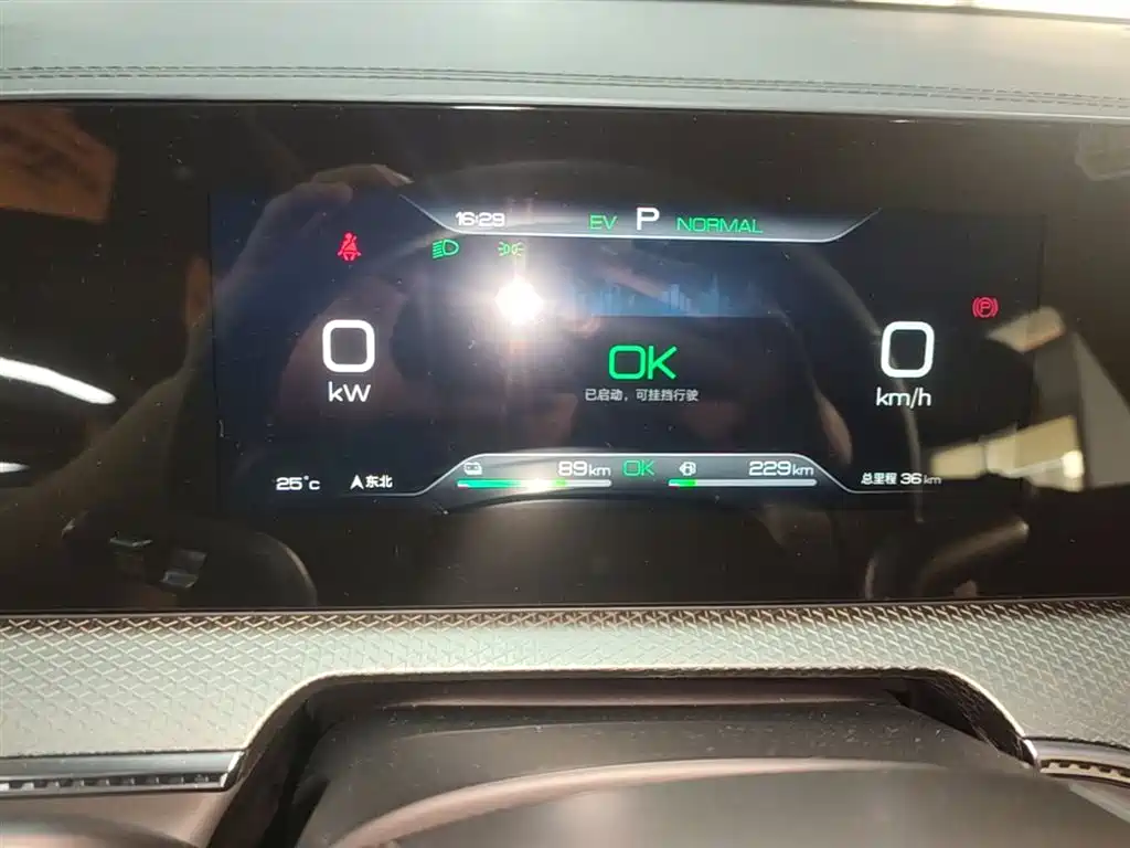 BYD SONGJIANG NEW ENERGY