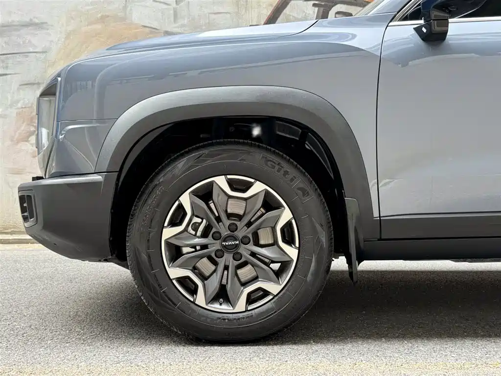 Haval Big Dog 2024 2.0T DCT Chinese Rural Dog Edition фото 6