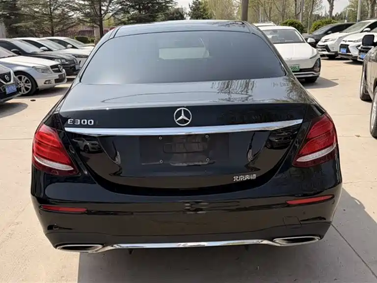 Mercedes-Benz E-Class 2019 E 200 L Sport фото 12