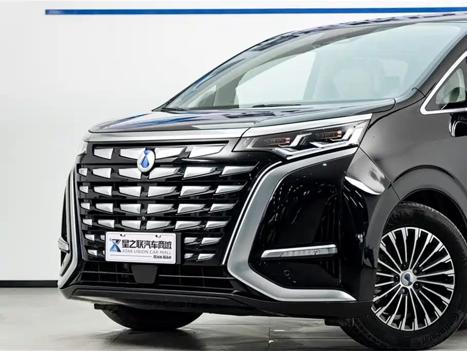 Denza D9 2024 DM-i 980 AWD Flagship фото 3