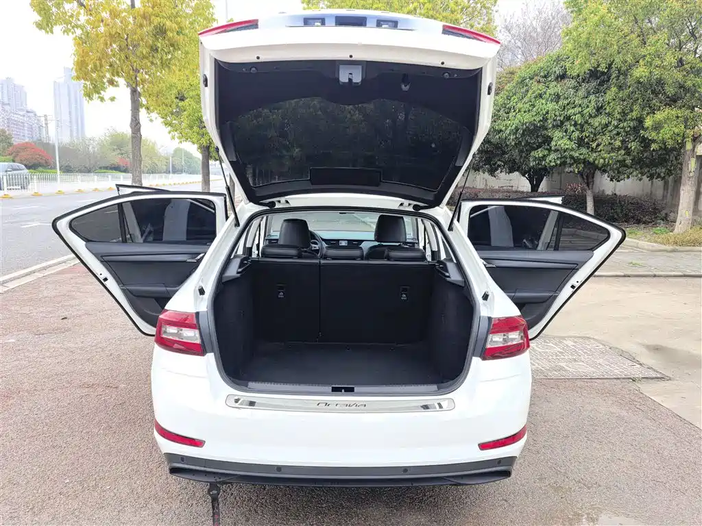 Škoda Octavia 2022 1.5L Automatic Comfort Edition фото 19