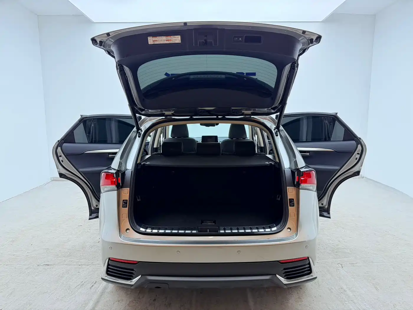 Lexus NX 2018 Model 200 AWD Fengshang Edition China V фото 22