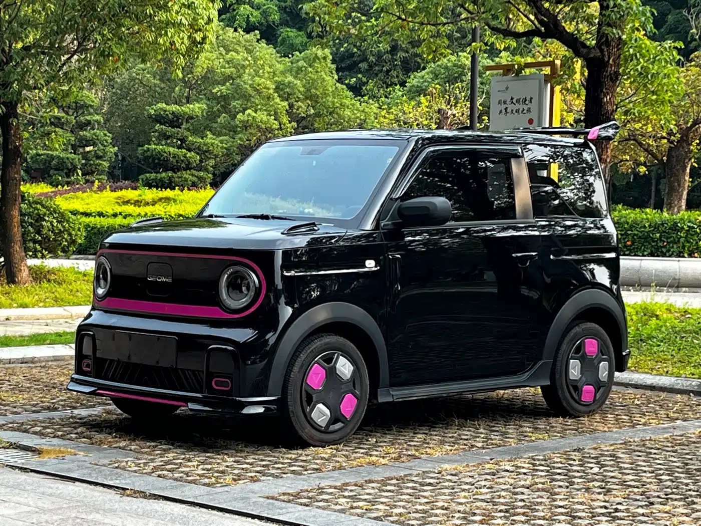 Geely Galaxy Panda 2025 Model Year 210km Panda Kart