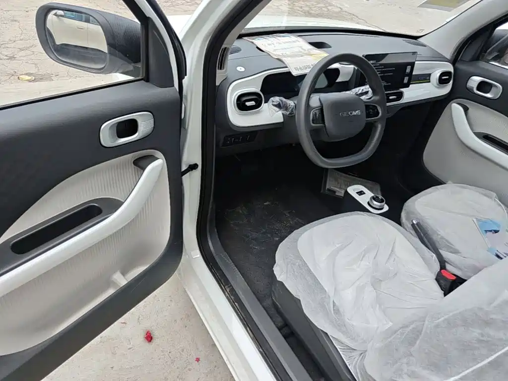 Geely Galaxy Panda 2026 2025 Panda mini 210km Vitality Bear