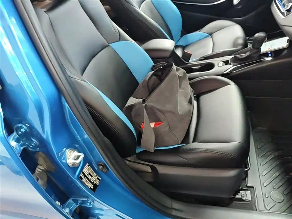 Toyota Levin 2019 Hybrid 1.8H E-CVT Luxury Edition China VI фото 25