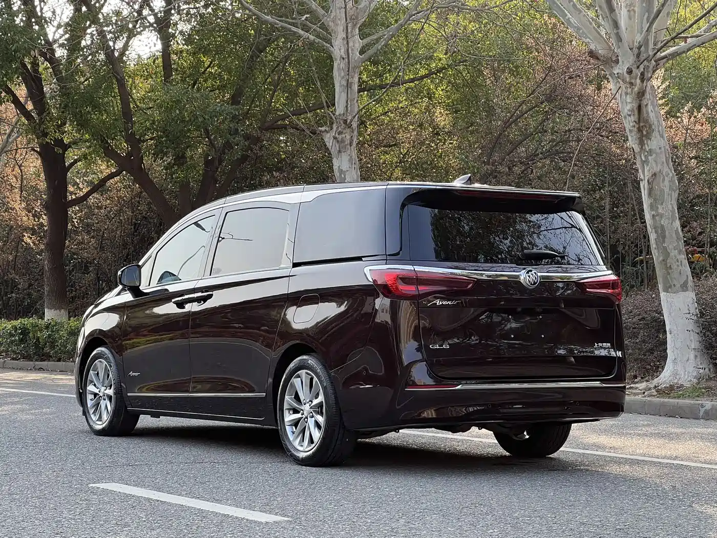 Buick GL8 2022 Facelift Avenir Avia Six-Seater Virtue Edition фото 21