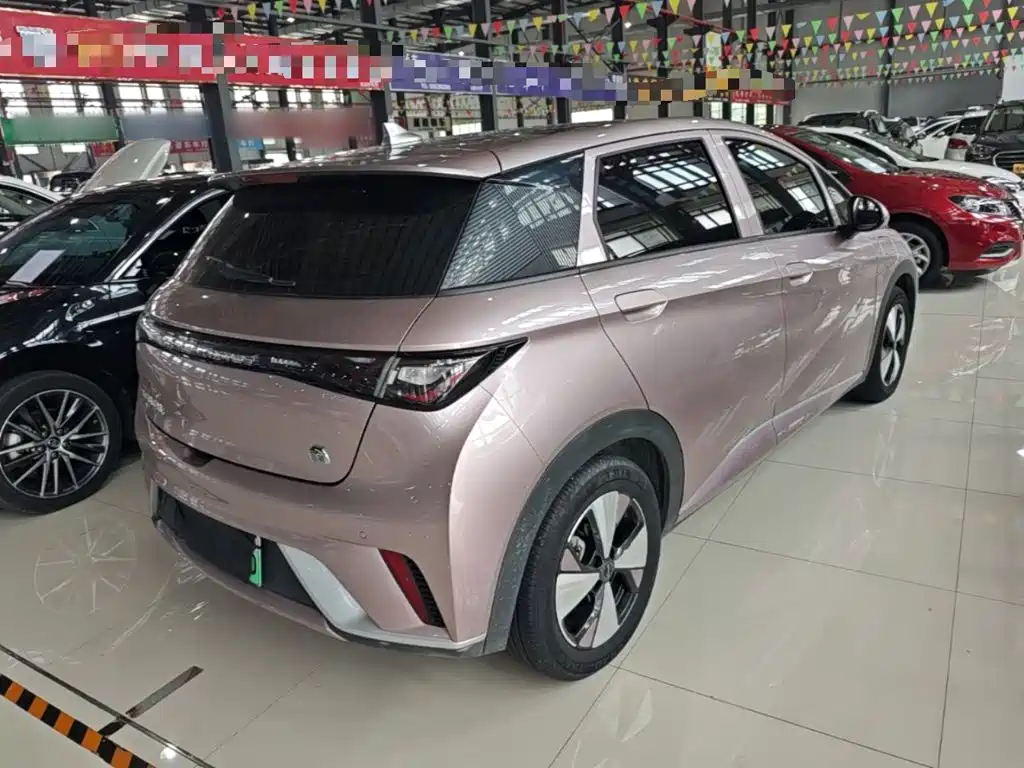 Фото 7 - BYD Dolphin