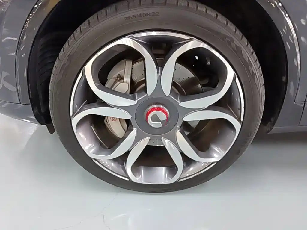 Denza X 2020 2020 PHEV Sport Edition