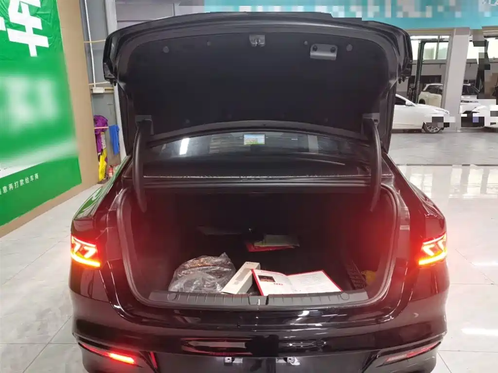 BYD Qin PLUS 2023 Champion Edition DM-i 55KM Leading фото 15