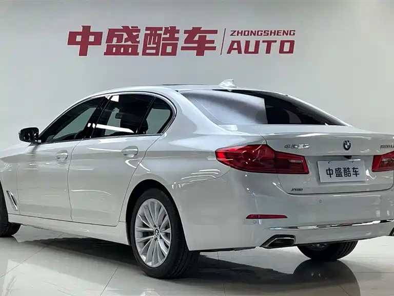 BMW 5 Series 2020 530Li xDrive Luxury Package фото 6