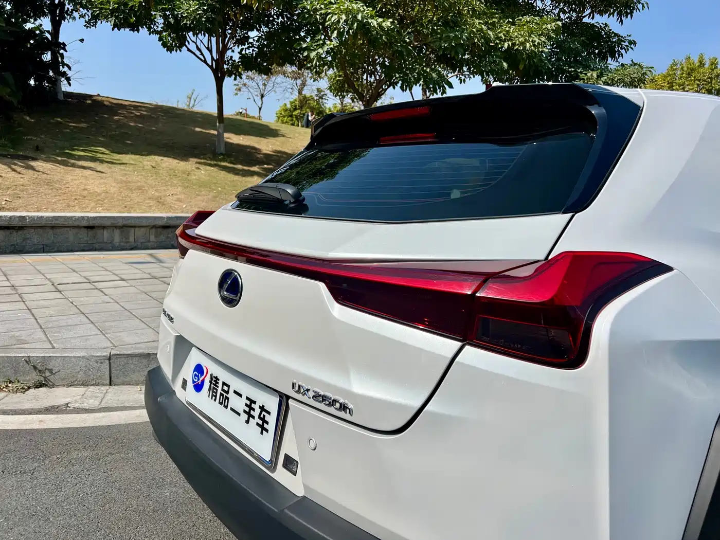 Lexus UX 2020 260h Explore Fun Edition China V фото 27