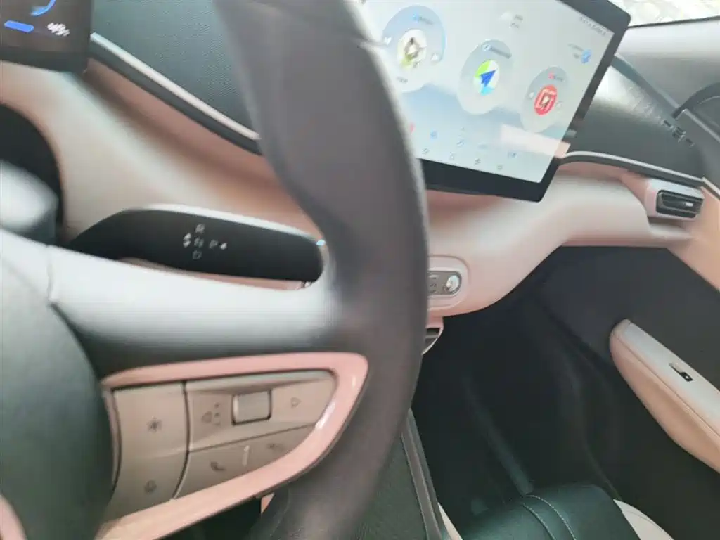BYD Seagull 2025 305km Vitality фото 14