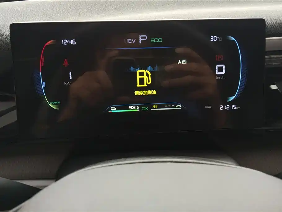 BYD Song Pro New Energy 2024 Glory Edition DM-i 71KM Pilot фото 14