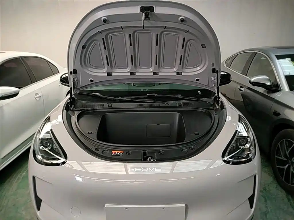 Geely Galaxy Starry Wish 2026 Edition 310km Youth Version фото 20