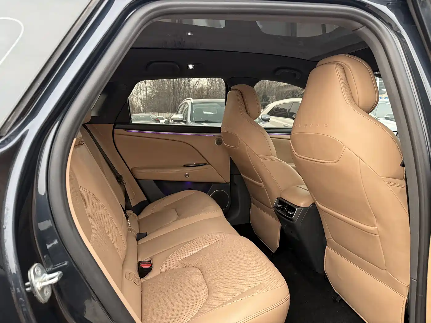 ARCFOX EXTREME FOX POLAR FOX ALPHA T5